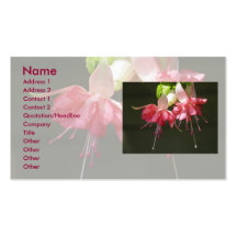Rosa Fuchsia visitkortar