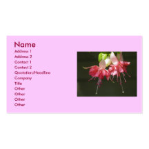 Rosa Fuschia visitkortar