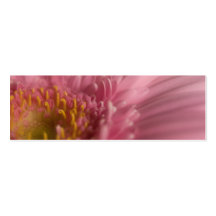 Rosa Gerbera •, Bröllopwebsiten profilerar kortet Visitkort Mall