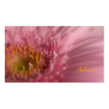 Rosa Gerbera •, Profilecard Visit Kort