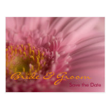 Rosa Gerbera •, Spara dateravykortet