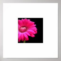 rosa gerberdaisy med hjärta print