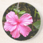 Rosa hibiskuskustfartyg underlägg