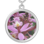 Rosa Ibaguense (Epidendrum) blommor Halsband