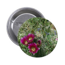 Rosa igelkottblommor pins