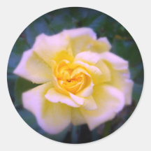 Rosa klistermärke för gul hjärta