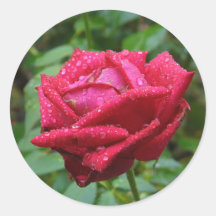 Rosa klistermärkear 001