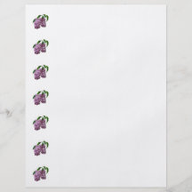 Rosa lila Duo Flygblad