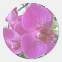 Rosa Orchidklistermärkear