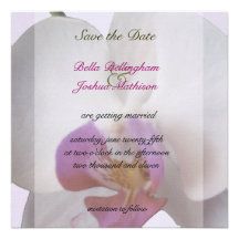 Rosa Orchidspara daterainbjudan