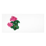 Rosa pelargoner och knoppar anpassade rackkort