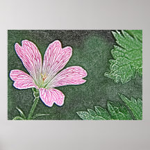 Rosa pelargonkanvastryck posters