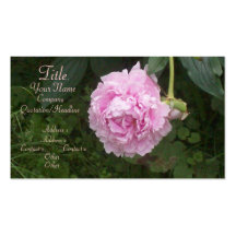 Rosa pion visit kort