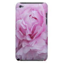 Rosa pionipod touch case