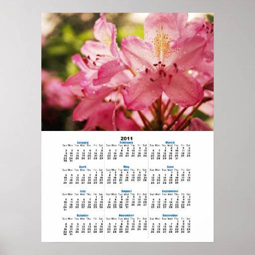 Rosa Rhododendron i kalendern för regna 2011 Posters