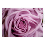 rosa ros hälsnings kort