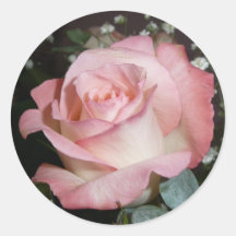 Rosa ros klistermärke