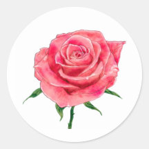 Rosa ros klistermärken