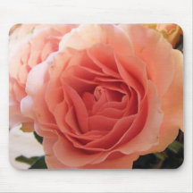 Rosa ros musmattor
