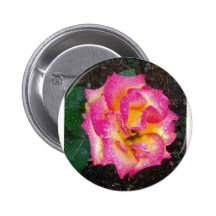 Rosa ros nål