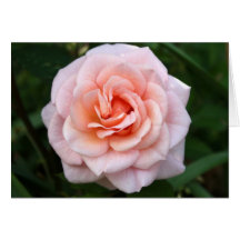 Rosa ros Notecard Hälsnings Kort