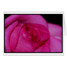 Rosa ros noterar kortet