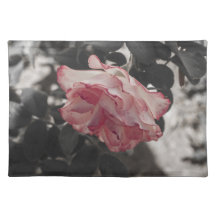 Rosa ros på det svartvita bakgrundsfotoet underlägg
