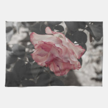 Rosa ros på det svartvita bakgrundsfotoet handhandukar
