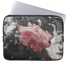 Rosa ros på det svartvita bakgrundsfotoet laptopskydd fodral