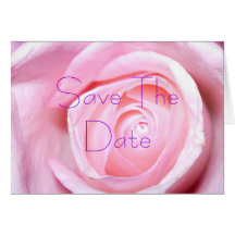 Rosa ros sparar daterakortet