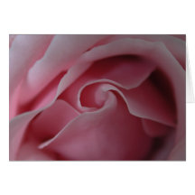 Rosa ros virvlar runt tomma inre kort