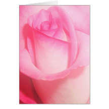 Rosa rosbröllopkort