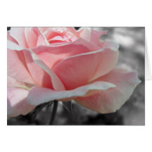 Rosa rosgrått hälsnings kort