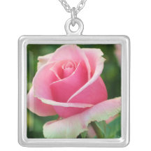 Rosa roshalsband