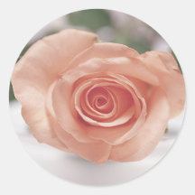 Rosa rosinbjudanklistermärkear