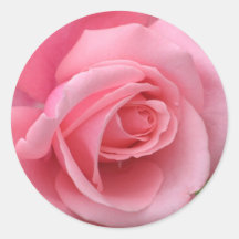 Rosa rosklistermärke