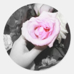 Rosa rosklistermärkear