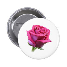 Rosa rosknoppen knäppas nål
