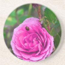Rosa roskustfartyg glasunderlägg
