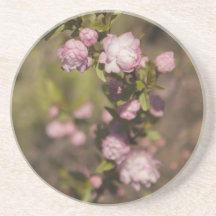 Rosa roskustfartyg underlägg
