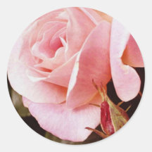 Rosa roskuvertsälar klistermärken