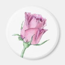Rosa rosmagnet magneter