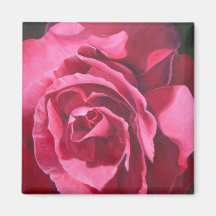 Rosa rosmålningmagnet kylskåpsnagnet