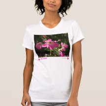 Rosa Rugosa tanktop