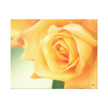 Rosa Streched för persika kanfas Sträckta Canvas Tryck