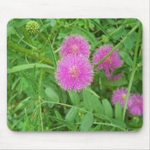 Rosa Thistle Musmattor