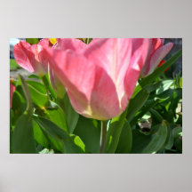 Rosa tulpan och grönt print
