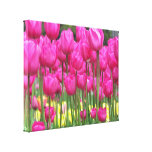 Rosa tulpan slogg in kanfas canvastryck