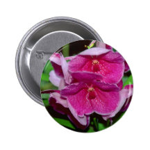 Rosa Vanda blommor Knappar Med Nål