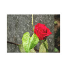 Rosa vattenfärgkanfas sträckta canvas tryck